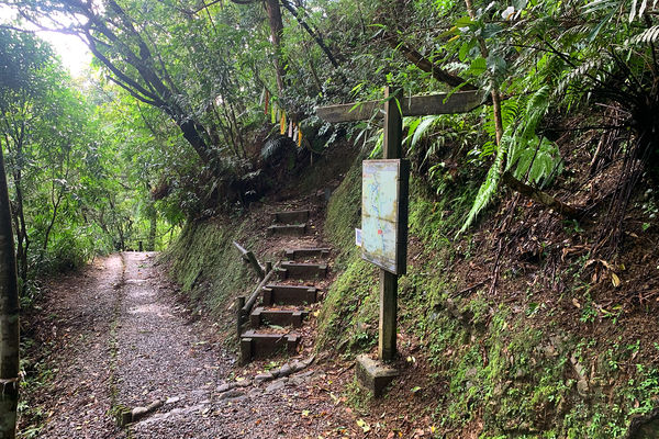 ▲▼嶺腳寮登山步道。（圖／泰瑞吃飽飽授權提供，下同，請勿隨意翻攝以免侵權）