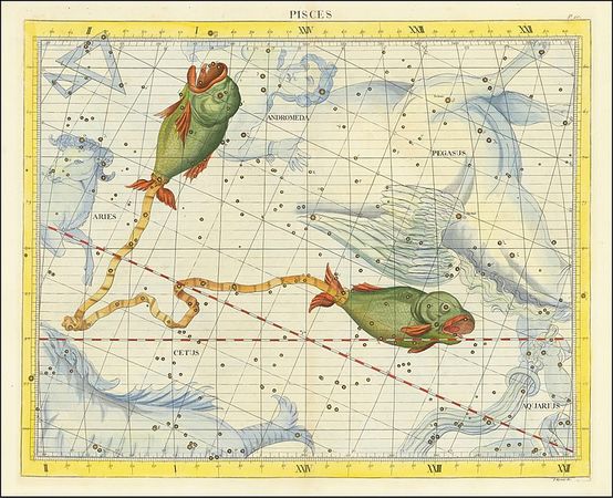 ▲▼英國首任皇家天文學家佛蘭斯蒂德（John Flamsteed）的畫《雙魚座》。（圖／翻攝自維基百科）