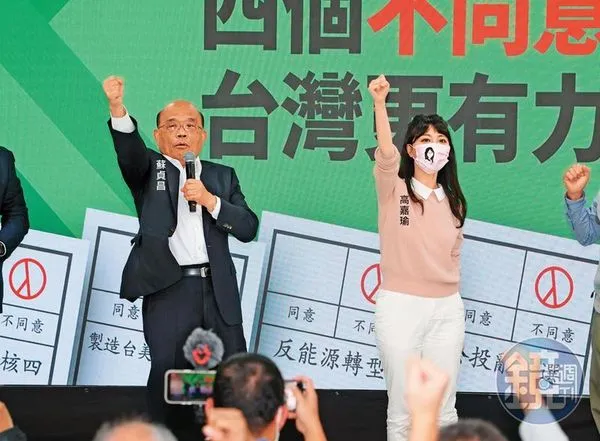 民進黨11日在內湖辦公投說明會，當晚多位綠營大咖出席，活動結束後，高嘉瑜直奔板橋與男友在飯店約會，沒想到卻遭暴力對待。