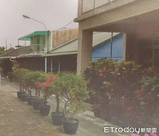 ▲竊賊深夜開名車偷走九重葛。（圖／記者許宥孺翻攝）