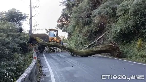 ▲▼             。（圖／民眾提供）