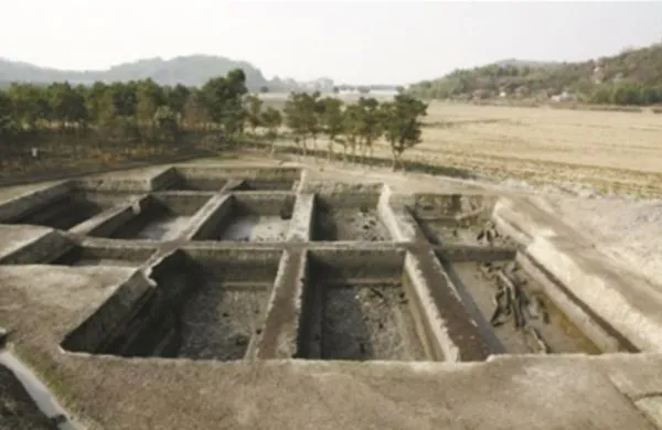 ▲▼浙江發現年代最早「古稻田遺址」　距今6700年至4500年。（圖／翻攝大陸國家文化局）