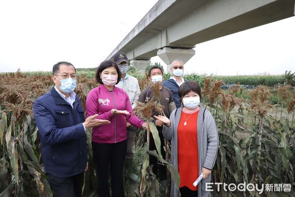 ▲明年縣府將提高一期作轉作補助至2萬元，並比照桃園市補助種子費用，希望讓縣內農民都能安心種植，也讓搭乘高鐵的民眾感覺更安全，共創雙贏。（圖／記者蔡佩旻翻攝）