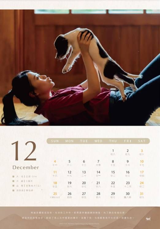 ▲▼高雄市消防局首推「搜救犬形象月曆」。（圖／高雄市消防局）