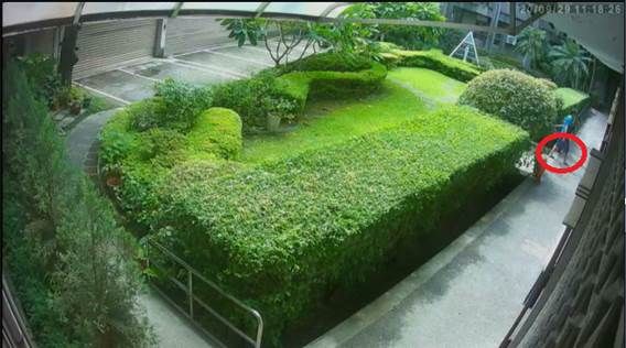 ▲▼台北方姓男子遭指控在教堂外露鳥，無罪原因曝光。（圖／翻攝自判決書，下同）