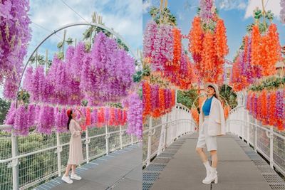 彰化月影燈季將開跑！天空步道一整排「紫藤花瀑布」仙氣十足