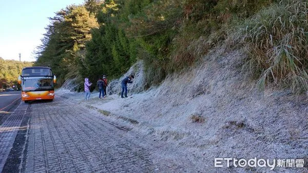 ▲玉山國家公園塔塔加路段路面因低溫結霜，遊客搶拍美景。（圖／玉山國家公園管理處提供）