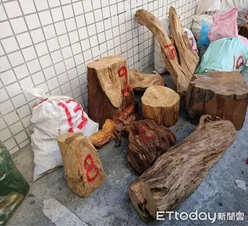 ▲竹縣破獲山老鼠一條龍　搜出300公斤珍貴木！8人落網。（圖／記者陳凱力翻攝）