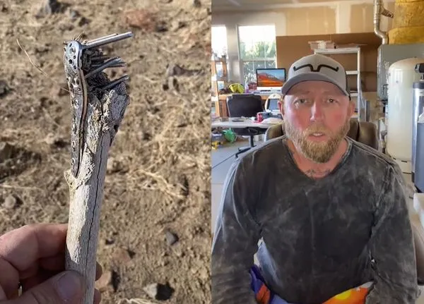 散步找到一根人骨　男嚇壞發現「不只他1人撿到」意外破8年懸案。（圖／翻攝自TikTok／fliporflopfinds）