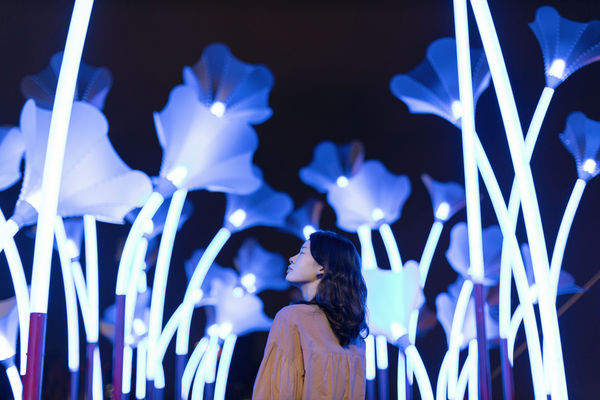 ▲▼駁二藝術特區大港橋旁的淺三碼頭上出現「巨人的夢幻花園」，是今年「2022台灣燈會在高雄」最新公布的作品之一。（圖／高雄市政府文化局）
