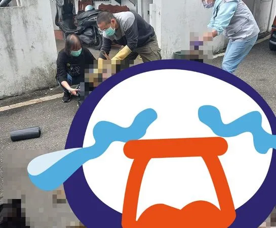 ▲▼花蓮毒狗。