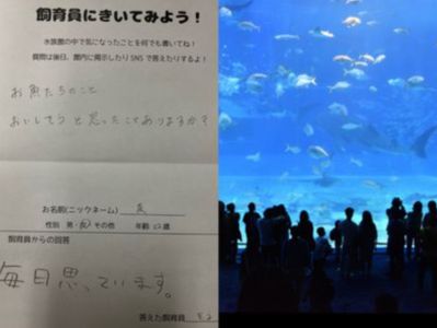 遊客問「會不會覺得魚好吃」　水族館長「直白神回覆」笑翻23萬網