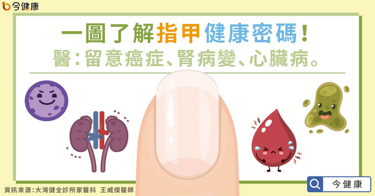 「5種指甲異常」會致命！兩指緊貼恐是肺癌　恐怖警訊一圖看懂。（圖／今健康授權提供）