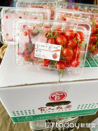 ▲▼高鐵站務員投身小番茄種植，友善農作加以太太母乳肥料酵素發酵 。（圖／記者翁伊森翻攝）