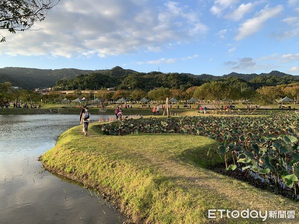 ▲山佳荷花池,山佳河濱公園。（圖／記者彭懷玉攝）