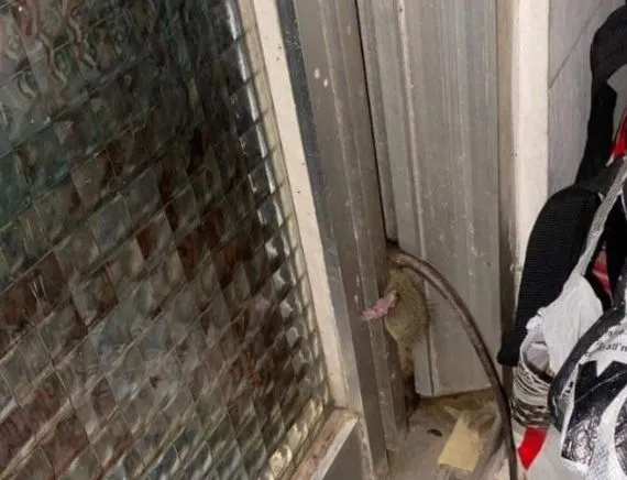 ▲▼             。（圖／翻攝自Facebook／爆廢公社）