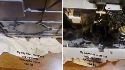洗碗機壞了　情侶拆下一看驚呼：有3隻「勞贖」！
