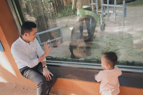 ▲新竹市立動物園將迎接重生兩周年暨創園85周年。。（圖／新竹市政府提供）