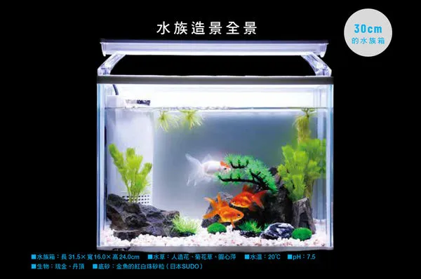 打造心儀水中王國 主角是 金魚 造景把握1原則 襯托牠 Ettoday寵物雲 Ettoday新聞雲