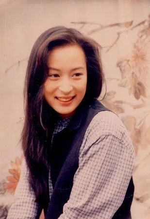 ▲黎美嫻曾是TVB當家花旦，已經息影20多年。（圖／翻攝豆瓣電影）
