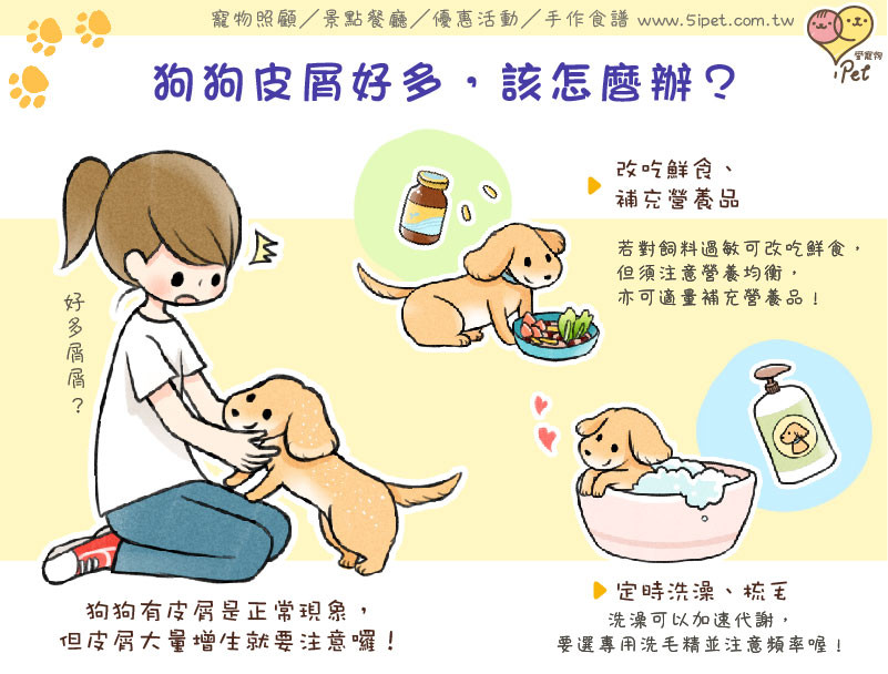 Ipet愛寵物 狗狗皮屑好多 該怎麼辦 Ettoday名家新聞 Ettoday新聞雲