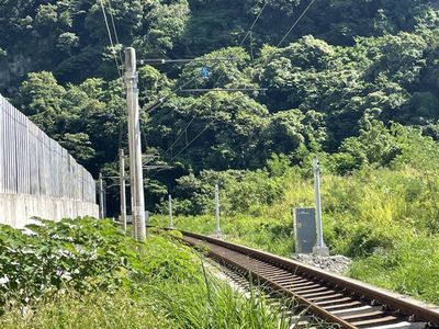審計部揪台鐵邊坡預警「一年異常4.4萬次」　反光、雜草占大宗