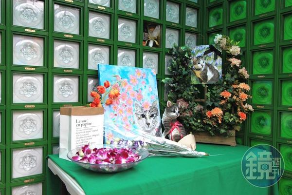 虎斑貓茶茶安葬於北海福座的寵物樂園。（讀者提供）