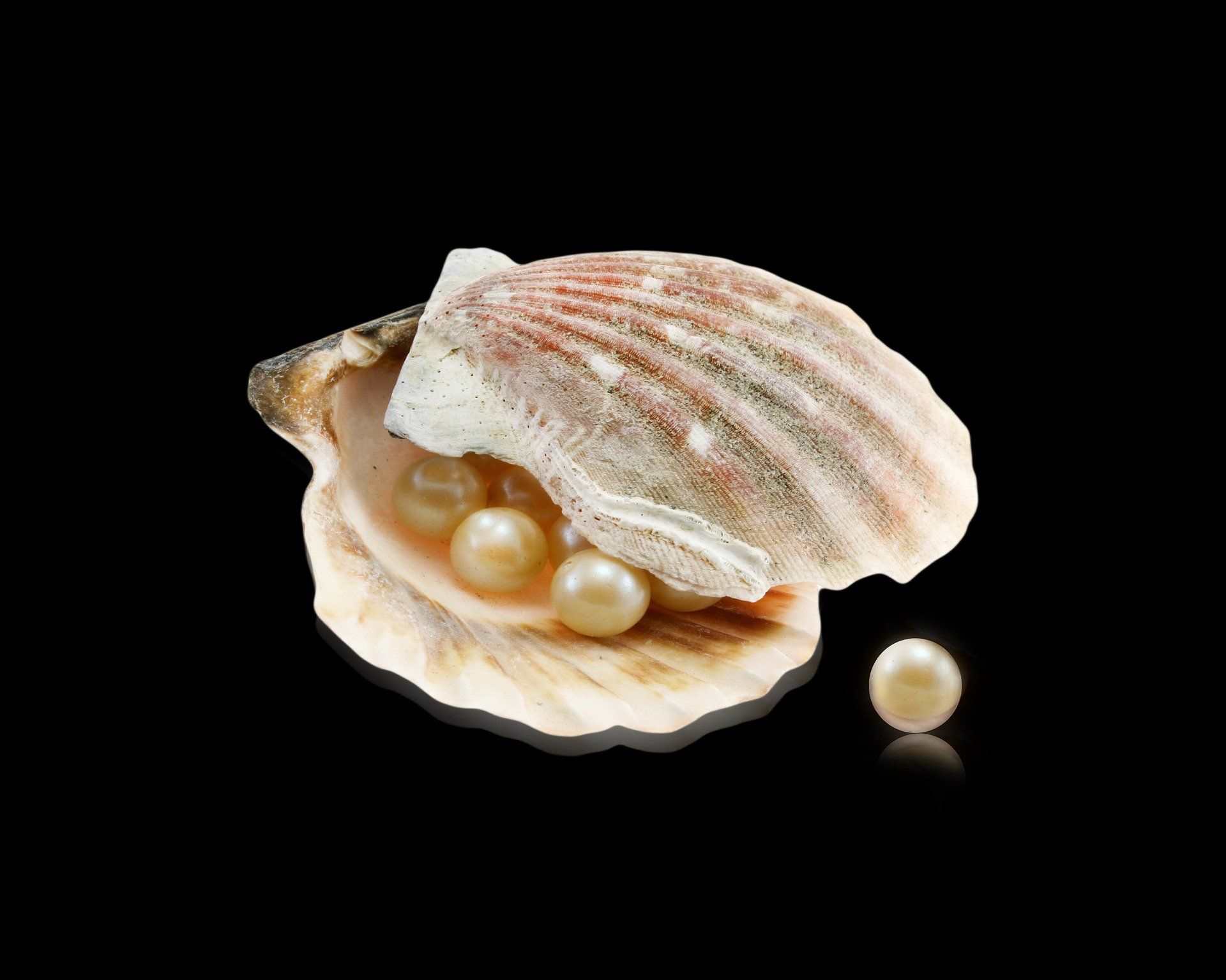 ▲▼ 吃牡蠣吃到一堆珍珠 。（圖／取自免費圖庫Pixabay）