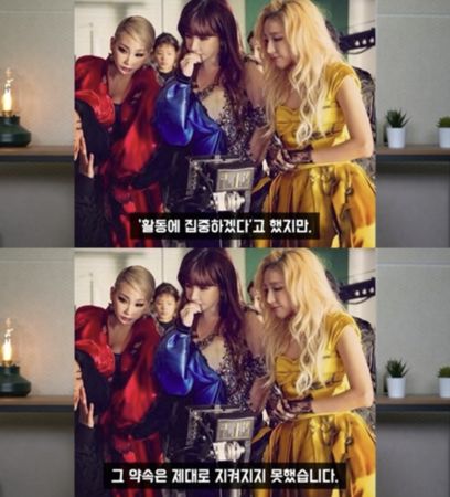 ▲▼娛樂記者爆「2NE1解散主因」：有1成員不受控　韓網瘋猜尋線索。（圖／翻攝自李鎮浩YouTube）