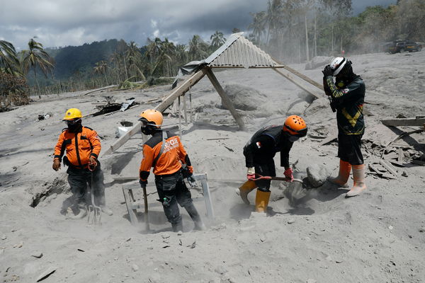 ▲▼ 印尼火山噴發後「被遺忘生命」志工搶救 。（圖／路透）