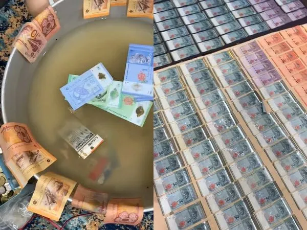 ▲▼馬來西亞,水災,洗錢。（圖／翻攝自TikTok／@dallepyou）