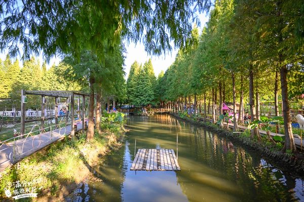 ▲▼水森林農場。（圖／滿分的旅遊札記提供）