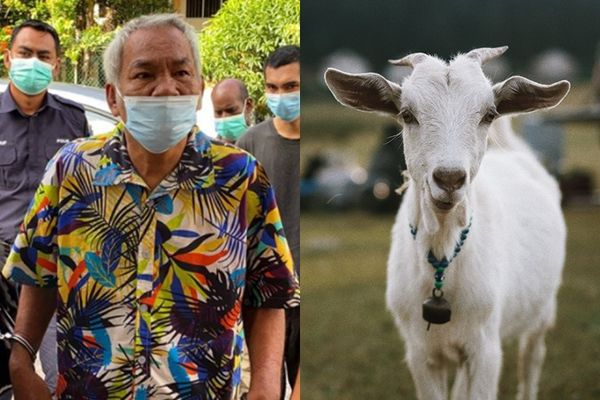 ▲▼60歲阿伯半裸「性侵母山羊」致死。（圖／翻攝自Free Malaysia Today）