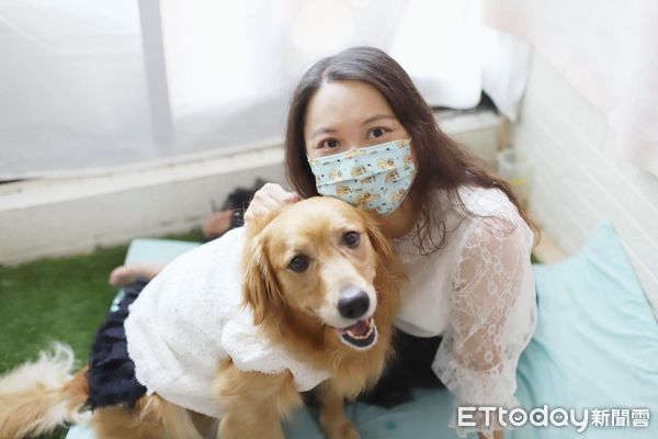 ▲▼10年助千隻黃金獵犬送到國外當寶　狗腳印聯盟「集中力量救浪浪」。（圖／狗腳印幸福聯盟授權提供）