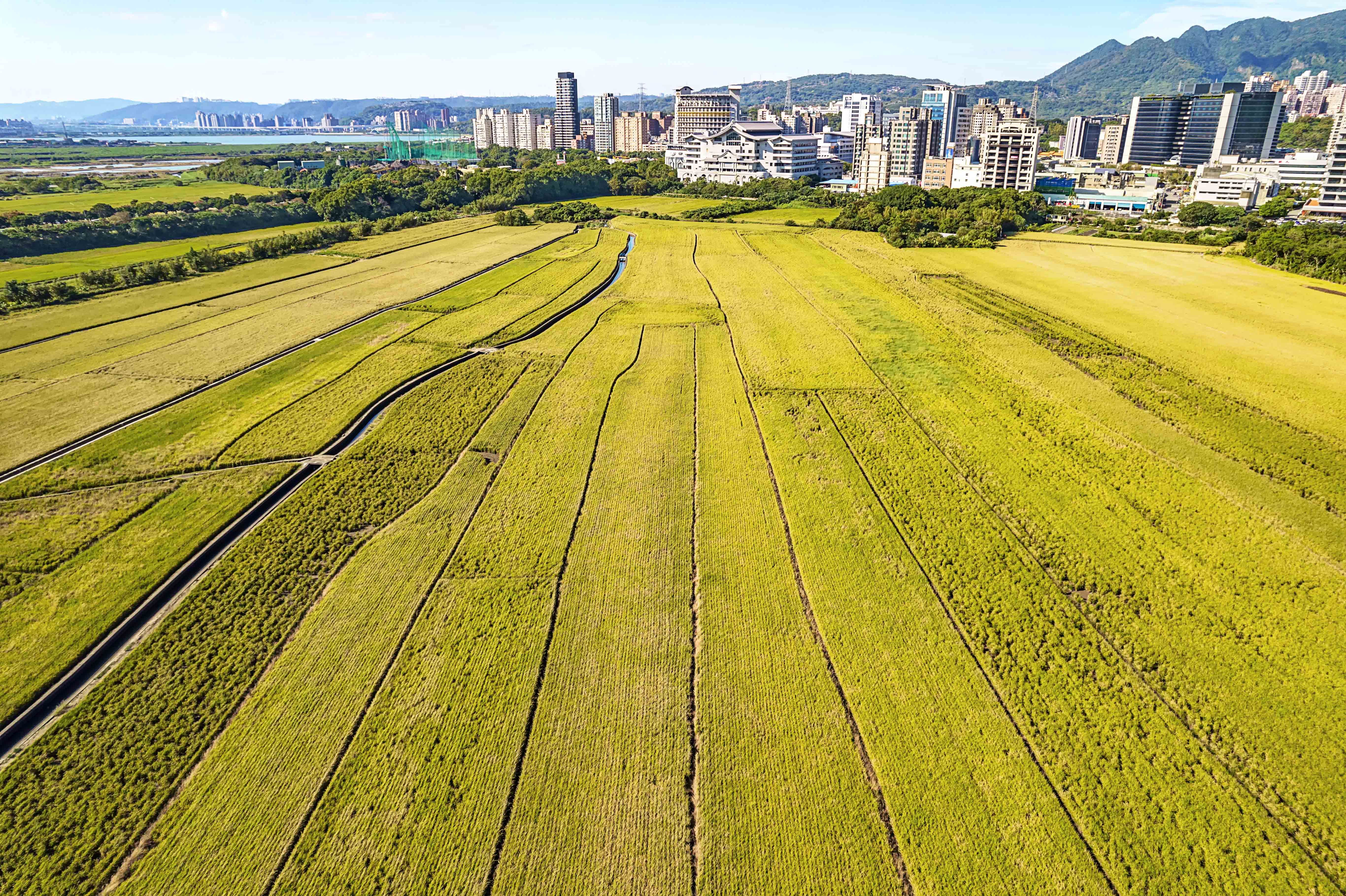 ▲▼「城市50•榮耀關渡」攝影比賽結果揭曉。（圖／台北城市科大提供）