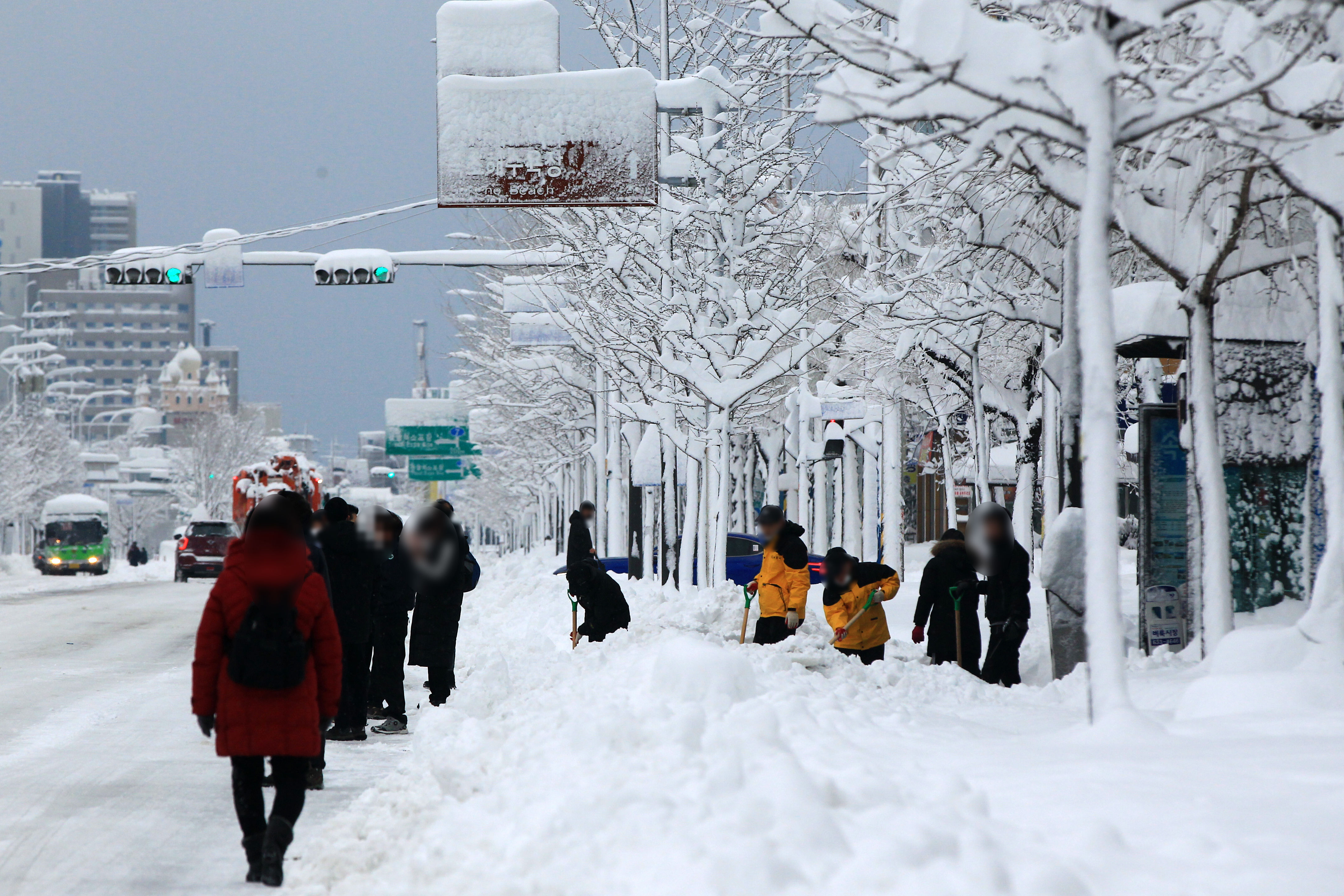 ▲▼南韓江原道嶺東地區降下暴雪，導致束草市市區25日因除雪作業一片混亂。（圖／達志影像）