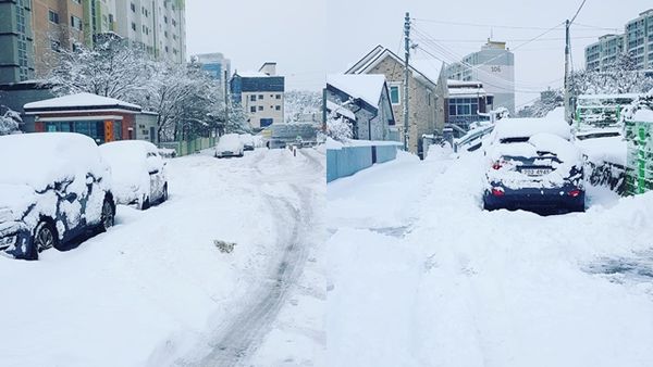 ▲▼ 南韓江原道江陵地區降下暴雪。（圖／翻攝自Instagram@jeonyoungrok）