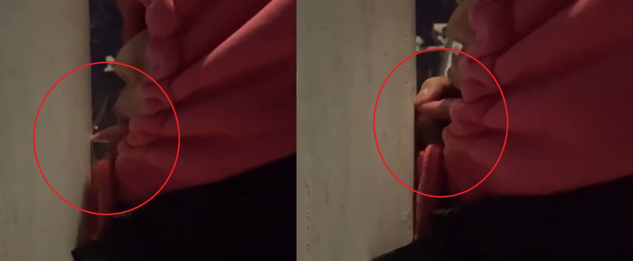 ▲▼-16℃舔欄杆！　男大生「痛失半截舌皮」狂吐血：值得紀念。（圖／翻攝微博）