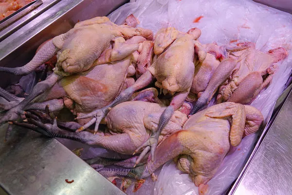 ▲▼生鮮雞肉、冷凍雞肉、雞肉攤販。（圖／CFP）