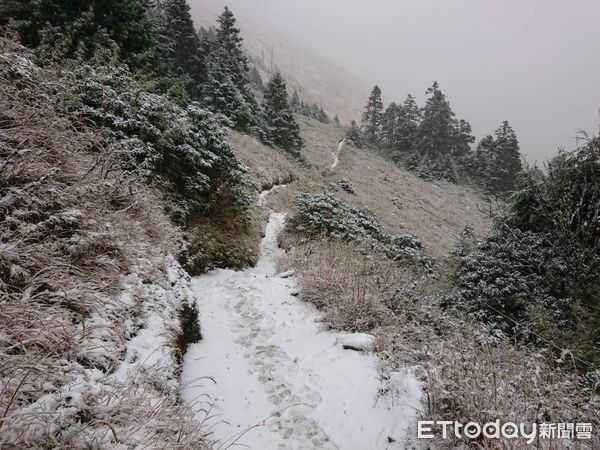 ▲雪霸國家公園369山莊27日凌晨1時左右開始降雪，清晨6時許山莊附近積雪已達5公分。（圖／記者黃孟珍翻攝，下同）