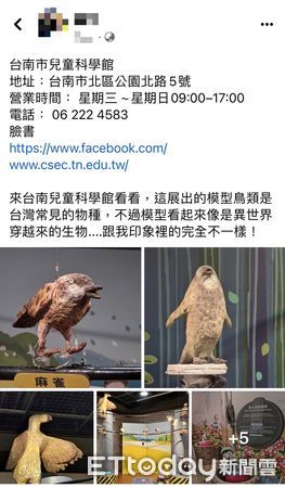 ▲有網友在臉書上PO文，前往台南兒童科學館參觀，看到館內展示的鳥類模型，讓他感到驚奇萬分，好像是從異世界穿越來的生物，引起網友熱議。（圖／記者林悅翻攝，下同）