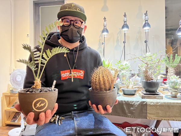 ▲▼潮牌店老闆跟風養起塊根植物，一顆保育類「黑王丸」竟飆破10萬台幣。（圖／記者邱中岳攝）