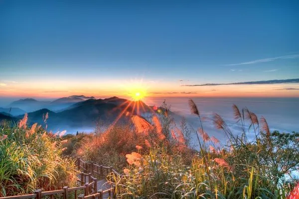 ▲▼阿里山溫度季。（圖／旅奇傳媒提供）