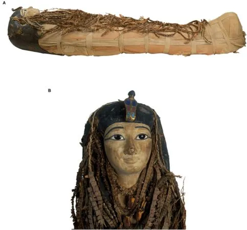 ▲▼埃及法老阿蒙霍特普一世（Amenhotep I）的木乃伊數位解密。（圖／翻攝frontiersin.org）
