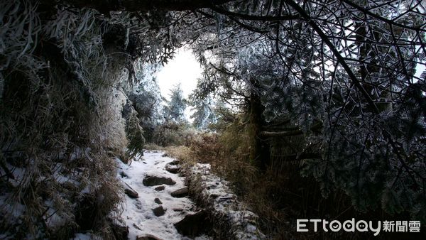 ▲5人登山隊因路況不佳而停留中途點，卻因禍得福欣賞到大霸尖山冬季的美景。（圖／歐陽台生提供，下同）