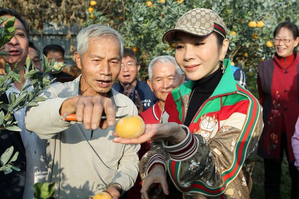 ▲王中平邀請陳美鳳、亞美將一起逛茂谷柑果園（圖／民視提供）