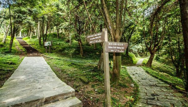 ▲位於桃園市復興區的東眼山國家森林遊樂區是北部地區國人旅遊熱點，卻爆發工作人員貪污醜聞。（圖／翻攝自桃園觀光導覽網）