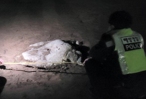 ▲▼濟州島民眾1日晚間在海灘上發現一具嚴重腐爛的「屍體」。（圖／濟州海洋警察署）