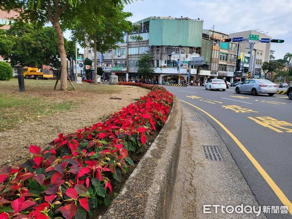 ▲2022迎新春，台南市各重要路段、圓環等街頭，種植的花草蓄勢待「花」，將為春節走春帶來萬紫千紅花漾街景的視覺響宴。（圖／記者林悅翻攝，下同）