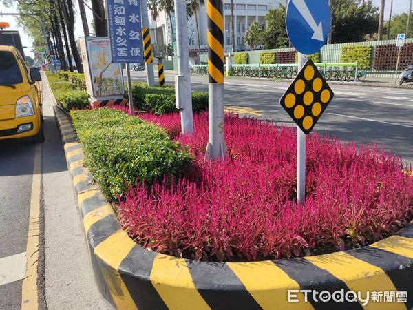 ▲2022迎新春，台南市各重要路段、圓環等街頭，種植的花草蓄勢待「花」，將為春節走春帶來萬紫千紅花漾街景的視覺響宴。（圖／記者林悅翻攝，下同）